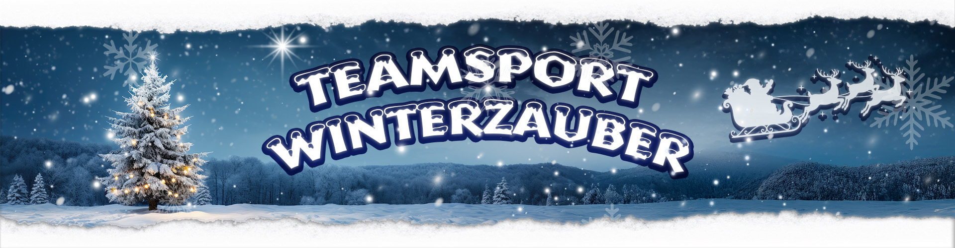 Banner mit Schneeflocken